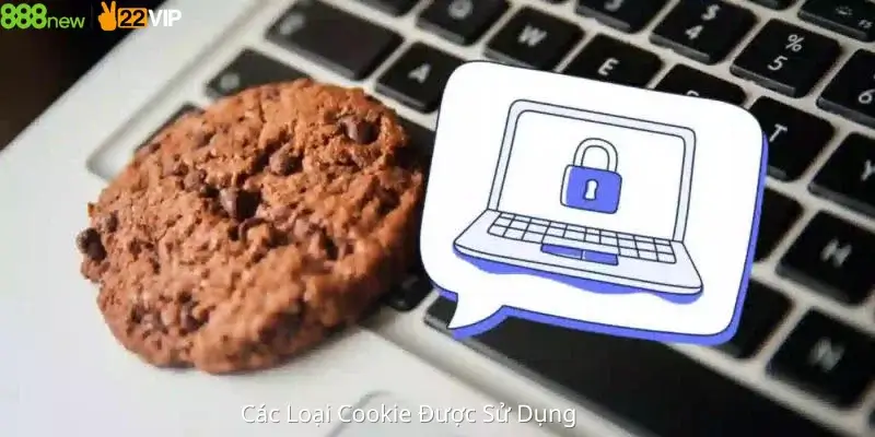 Các Loại Cookie Được Sử Dụng 