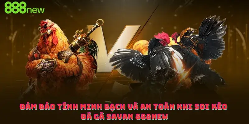 Đảm bảo tính minh bạch và an toàn khi soi kèo đá gà savan 888new