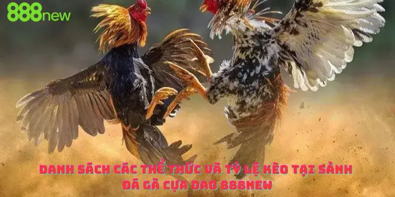 Danh sách các thể thức và tỷ lệ kèo tại sảnh đá gà cựa dao 888new