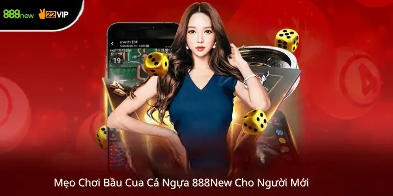 Mẹo Chơi Bầu Cua Cá Ngựa 888New Cho Người Mới 