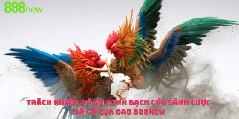 Trách nhiệm và sự minh bạch của sảnh cược đá gà cựa dao 888new