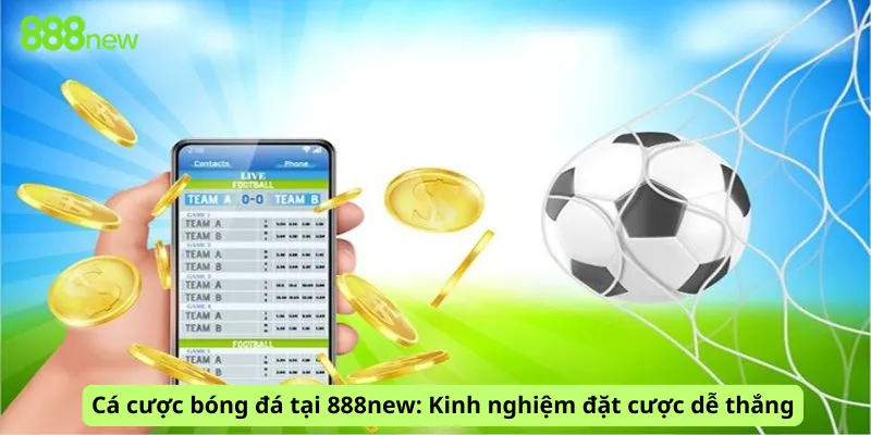 Cá cược bóng đá tại 888new: Kinh nghiệm đặt cược dễ thắng